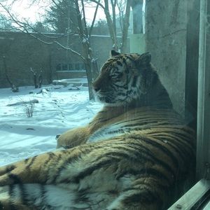 Meet your Posher, Karina